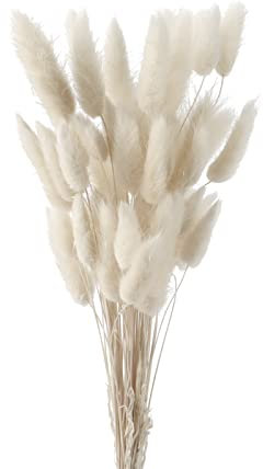 FENGCHUANG Code di Coniglio Erba della Pampa 50 Pezzi Pianta Boho Fiori Secchi Naturali Pampas Decorative per Decorazioni Casa Tavola Matrimonio (Bianco)