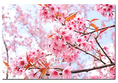 Quadro su Tela Fiori di Pesco Fiori Wall Art Stampe Poster Immagini per Soggiorno Camera da Letto Decorazioni 60x90cm(24x31in) con Cornice
