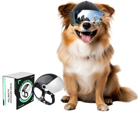NAMSAN Motorrad Hundehelm mit Anti-UV Schutzbrille Fahrradhelm für Kleine Hunde mit Visier (ohne Nieten), Silberne Linsen