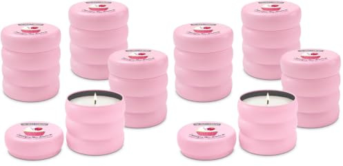 The Fruit Company Vela Perfumada Fresa Nata en lata de 150 gr con 1 mecha, con cera vegetal, duración +40hrs y extractos naturales (Paquete de 2)