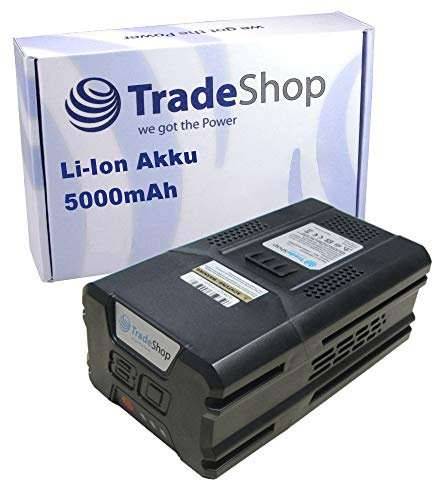 Hochleistungs Li-Ion Akku für 80V Geräte der Greenworks Pro Reihe / 80V, 5000mAh - ersetzt G80B4, 2901307 / Hochleistungs Ersatz Akku