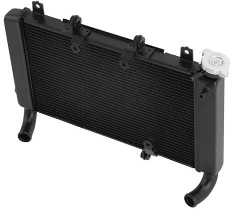 Serbatoi radiatore moto Compatibile Con CB650F 2018 Radiatore Per Moto Serbatoio Liquido Raffreddamento Moto Serbatoi Radiatore Serbatoi Liquido Raffreddamento Sostituisce L'OEM: 19010-MJE-306