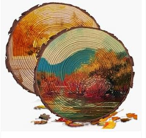 Behogan 2 Stück Holzscheiben 30-34cm: Paulownia Holz Runde Baumscheiben, Naturholz Baumscheiben, Holzscheiben zum Basteln, für DIY Dekoration und kreative Handarbeiten Holz Gemälde Untersetzer