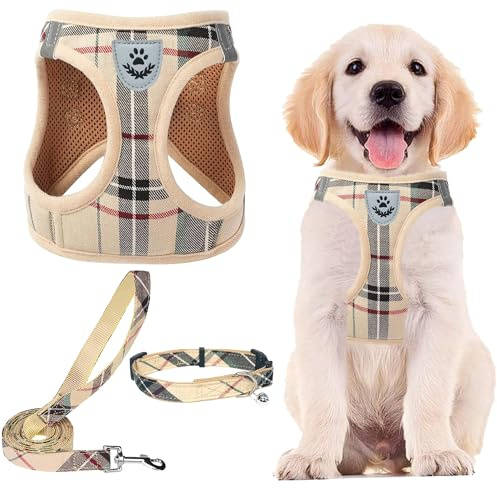 PUPTECK Adjustable Pet Harness Collar &Leash Set Step in for Small Dogs Puppy &Cats Outdoor Training &Running, Soft Mesh Padded Reflective Vest Harness,M: Chest girth: 16-18in Collar: 11.8-15.7in