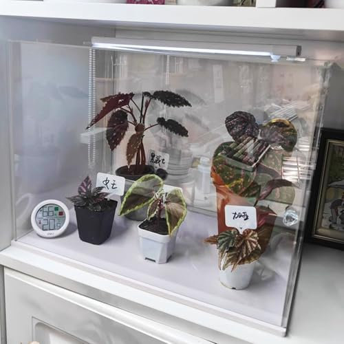 Acryl Vitrine Durchsichtiger Kunststoff-Vitrinenkasten, Quadratischer Würfel, Kleine Transparente Vitrinen-Aufbewahrungsbehälter für Räume, Acryl-Vitrine zum Zusammenbauen mit Weißem Sockel(15 x 25 x