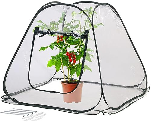 Royal Gardineer Pflanzenschutz: Kompaktes Pop-Up-Gewächshaus, klar, universal, 80 x 70 x 80 cm (Winterschutz-Zelt, Beistellgewächshaus, Winter)