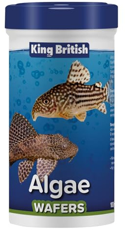 King British – Algae Wafers 100g – Multi-Vitamin Complete Sinking Fish Food – For Bottom Feeding Catfish, Plecostomus & Algae Eating Fish Natural Ingredients