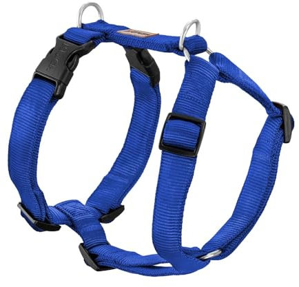 Koch Premium Geschirr Royal Blau S 25mm Gurtbreite. Immer Voll gepolstert, Hundegeschirr 5-Fach verstellbar, verstellbar auch am Bauch