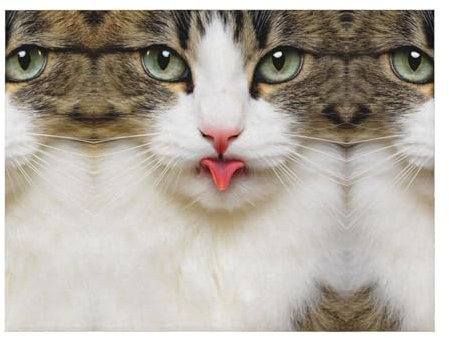 CHANGLEI Weiche Überwurfdecke für Katzen, Flanelldecke, personalisierter Druck, warm, gemütlich, vielseitige Decke (240 g) für Bett und Sofa