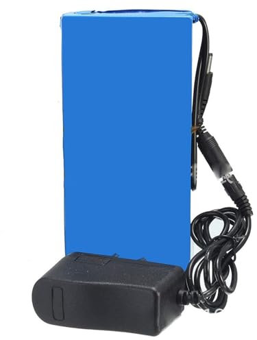 DONGSHUAI Lithium Battery Pack, 12V DC 20Ah Li-Ion Rechargeable Battery Pack, Portable Lithium Battery Suitable for 12V Power Equipment, with Charger 12V 20Ah,2PCS