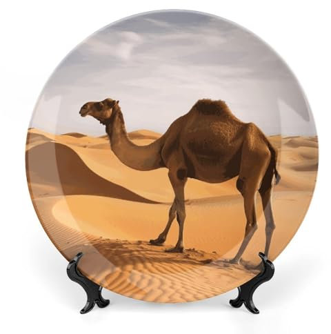 Grandes assiettes décoratives en porcelaine anglaise de 20,3 cm pour présentation - Assiette désert en céramique avec présentoir - Assiette en porcelaine personnalisée pour cuisine, salle à manger