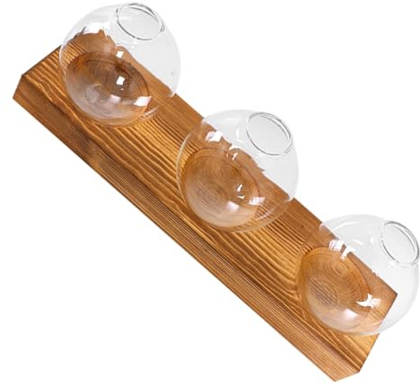 TOYANDONA Terrario in Vetro per Piante Idroponiche Stazione di Propagazione per Piante Vaso da Interno Decorazione da Tavolo per Casa Ufficio Balcone