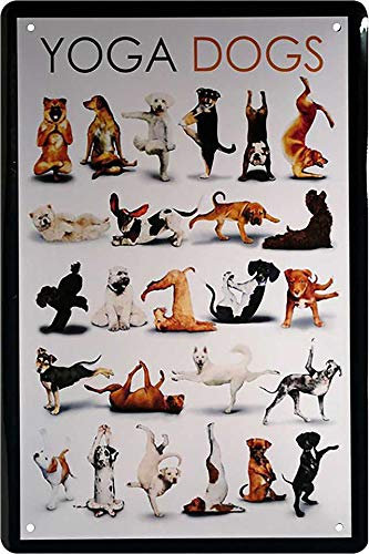 Cartel de chapa con texto divertido y diseño Yoga Dogs, cartel decorativo para perro, cartel de entrada de perro, cartel de metal, cartel divertido regalo de cumpleaños o Navidad 20 x 30 cm