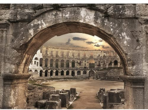 Runa Art Papel tapiz fotográfico Coliseo de Roma 352 x 250 cm Lana Fondo De Pantalla XXL Moderna Decoración De Pared Sala Cuarto Oficina Salón gris 9130011b