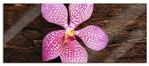 Pixxprint Glasbild Panorama, Wandbild aus Echtglas, Orchidee Blüte auf Rinde, 100x40 cm, inkl. Aufhängung und Abstandshalter