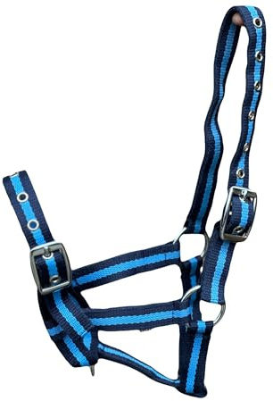 Equipride CAVETTA per Puledro Multi Regolabile in 10 INCREDIBILI Colori (Navy/B.Blu)