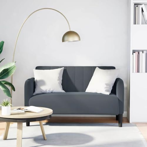 HETFTJN Zweisitzer Samt Sofa Dunkelgrau 124 x 68 x 74 cm mit Sperrholzgestell und Federkern Modernes kleines Schlafsofa für Wohnzimmer Jugendzimmer Büro Balkon und Flur