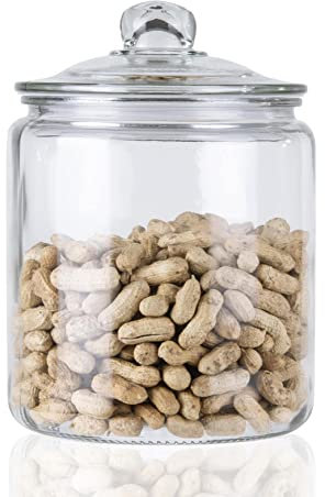 ORNAMI Biscuit Glass Storage Kitchen Jar with Airtight Lid (4.2L)