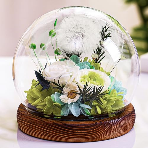 Touloube Geschenke für Frauen Pusteblume im Glas Geschenkideen, Geburtstagsgeschenk für Freundin Schwester Erzieherin Mama Oma, Wunscherfüller Geschenk Mutmacher für Sie Frau