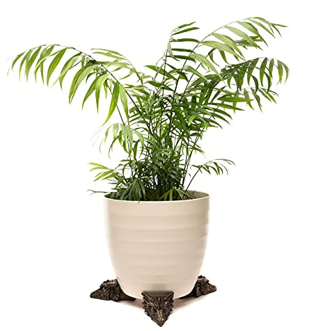 Potty Feet Decorative Dragon Themed Plant Pot Feet - Bronze Color - Set of 3