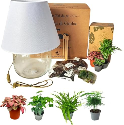 I Giardini di Giulia | Kit Terrarium Lamparium y Plantas Verdes | Jarrón de cristal con pantalla incluida | Incluye sustratos, accesorios y terrario de bricolaje