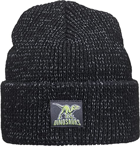 Baddery Reflektierende Kinder Beanie - „Dinosaurs“ - mit Patch | Wintermütze mit Patch für Jungen & Mädchen - Mehr Sichtbarkeit im Straßenverkehr