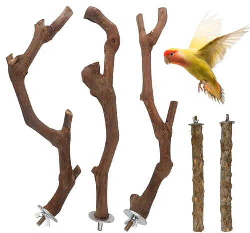 sittpinnar - 5 stycken träleksaker för fågelbur och lekbur - naturliga grenar, för fågelbur: Conures, balsitter, vågiga parakider, halsbandsperuder,