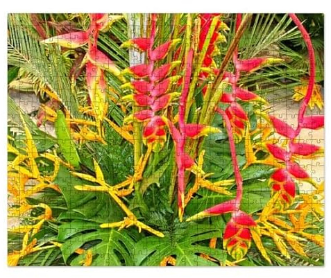 CafePress Bright Heliconias, Lobster Claw Plant Large Puzzle, 520 pcs.