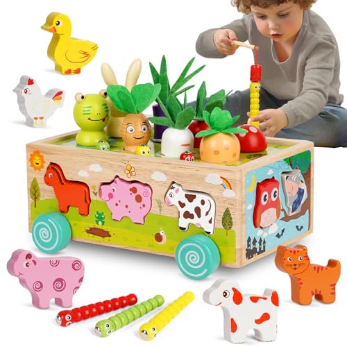 Winnrok Montessori Spielzeug ab 2 3 4 Jahr, Karotten Steckspiel Holz Motorikspielzeug, Sortierspiel Holzspielzeug Kinder, Lernspielzeug Geschenk Baby Junge Mädchen, Ostergeschenke für Einjährige