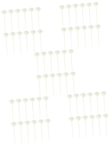 RORPOIR 5 Sets Diffusorstäbchen Ersatzminen Für Diffusor Home Office Spa-Stick Natürlicher Rattan-diffusor 12 Stück * 5