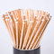 Rose Gold Paper Straws 100pcs