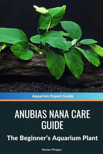 Anubias Nana Care Guide: The Beginner’s Aquarium Plant
