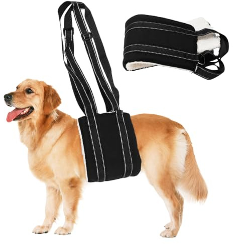 Umllpet Aide au transport réglable pour chien - Aide à la marche souple - Disponible en différentes tailles - Soutien de sécurité pour handicapés, blessés ou chiens âgés - Taille M