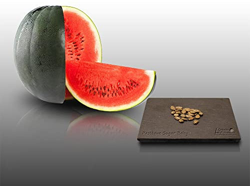 25 graines à semer - Le Grenier d'Abondance - PASTEQUE Sugar Baby - Citrullus lanatus