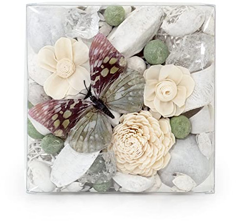 ANDALUCA Maison Box Duft-Potpourri, dekorative Vase und Schalenfüller, Heimdekoration (Paperwhite & Aloe)