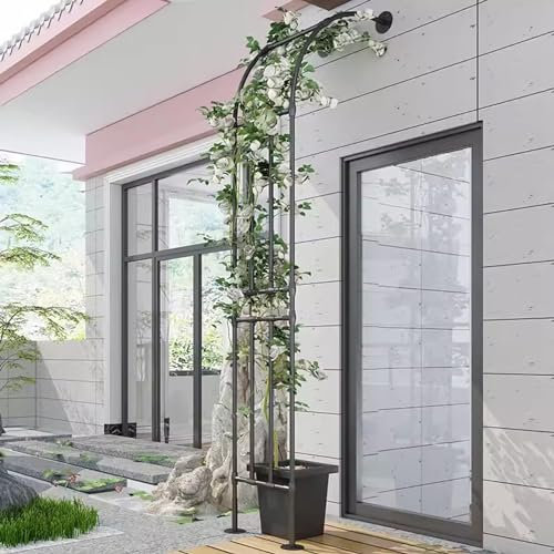 Junvstor Rosenlaube mit Halbbogen für den Garten, Blumenbogen-Spalier für Kletterpflanzen, Gartenstütze, Außenbögen, Pergola-Spalier mit Wandhalterung, Gemüsebogen-Spalier(W150xH240CM(4.9x7.9ft))