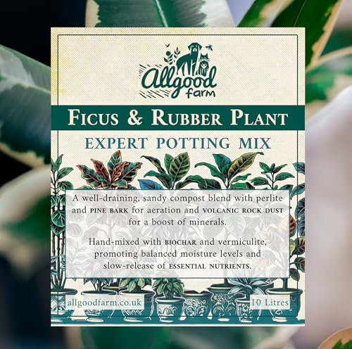 Allgood Farm Ficus & Rubber Plant Soil - Expert Potting Mix for Weeping Fig, Fiddle Leaf, Banyan Fig, Ficus Benjamina, Ficus Elastica (10 Litres)