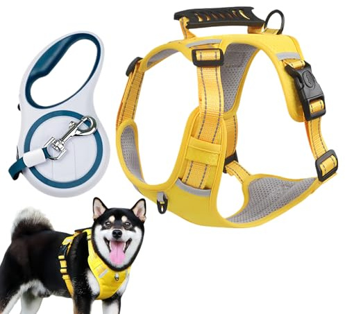 Walking Dog Harness - Justerbar Bröstrem Med Säker Spänne - Valpsele För Dagliga Promenader | För Utomhuslek Trädgård Och Promenad Små Och Medelstora Valpar