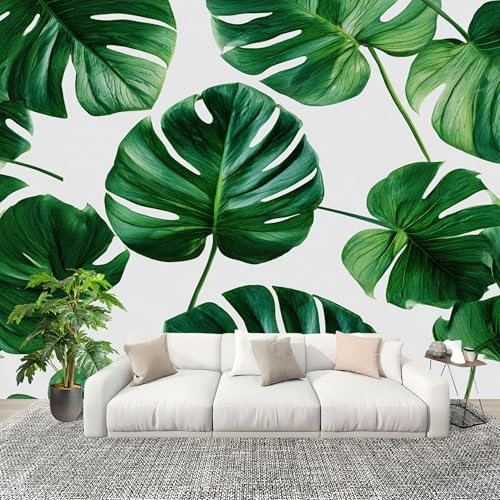 Papel Pintado Panorámico 200x140 cm Tropical PatróN de Monstera Deliciosa Fotomurales Tejido No Tejido Decoración de Habitaciones y Salones Habitación Niño Verde Poster Murales Panorámica