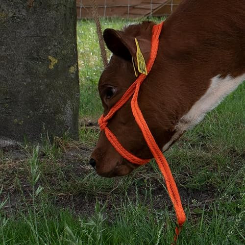 Kerbl Gesundheitswesen Halter Kuh Einstellbare Breite Orange