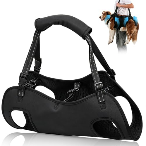 SKJJM Bärhjälp för hund, stor, hundbärhjälp, justerbar bärrem för hundar, lyftsele för funktionshindrade, blindhet, skadade eller äldre hundar (svart, L)