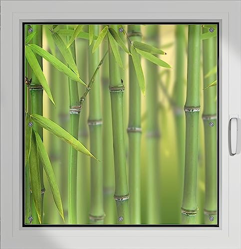 Wallario Lichtschutzbild, Dekorativer Sichtschutz Sonnenschutz 96 x 93 cm mit Motiv: Grüner Bambuswald - Verdunklungsrollo ohne Bohren
