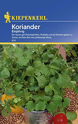 Kiepenkerl 576 Koriander Einjährig (Koriandersamen)