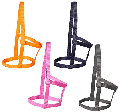 PFIFF 102920 Weidhalfter Joky, Weide Paddock, Ohne Beschläge, Nylon, Orange, Shetty