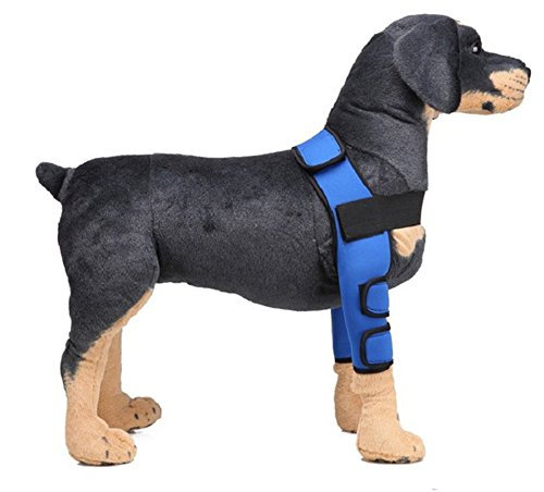 HanDingSM Hunde Ellenbogenbandage,Haustier Beinbeinstütze,Hundebein Ärmel (L, Blau)