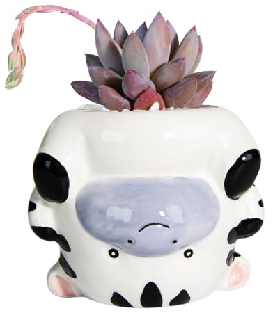 YINUOWEI Pot de fleurs mignon pour plantes grasses cactus bonsaï décoration de jardin vache