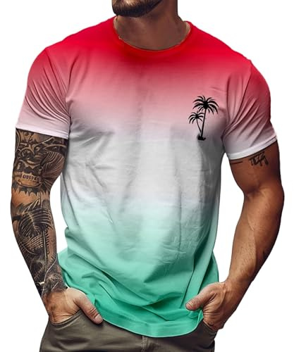 T-shirts for men, oversize T-shirt, men's palm trees, angels t-shirt, crew neck, print shirts, men's short sleeve sports shirt, loose summer tops, short sleeve basic tops, colour gradient, sports