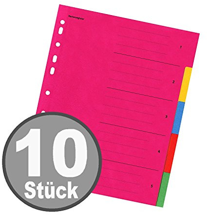 Falken Karton-Register für DIN A4 24 x 29,7 cm volle Höhe mit Organisationsdruck (5-teilig | 10er Pack)