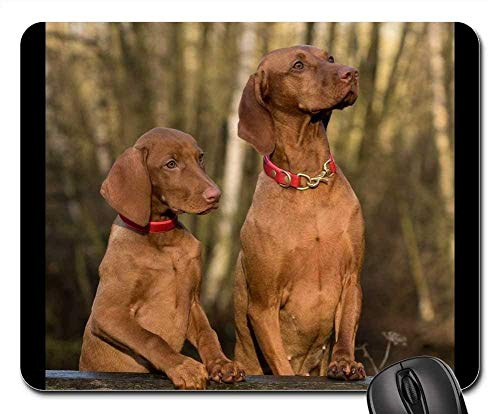 Mauspads - Hund Viszla Close