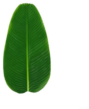 Zoegneer Lot de 4 feuilles de bananier artificielles vertes pour ambiance de fête (4 pièces, taille L)